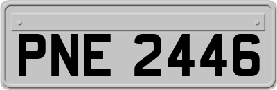 PNE2446
