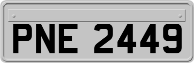 PNE2449