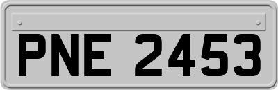 PNE2453