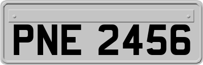 PNE2456