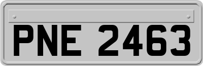 PNE2463
