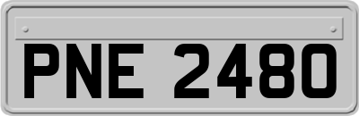 PNE2480