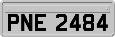 PNE2484