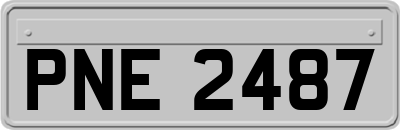 PNE2487