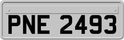 PNE2493