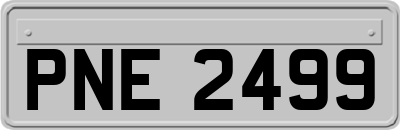 PNE2499