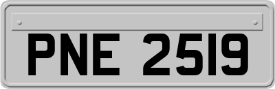PNE2519