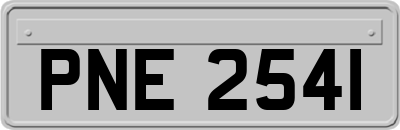 PNE2541