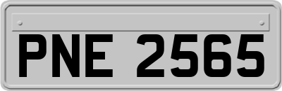 PNE2565