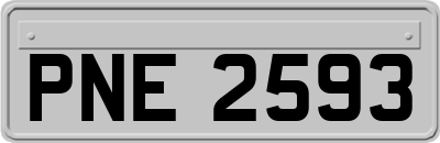 PNE2593