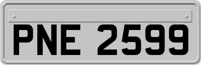 PNE2599