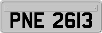 PNE2613