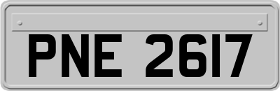 PNE2617