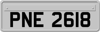 PNE2618