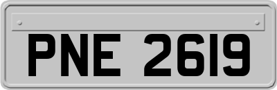 PNE2619