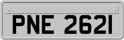 PNE2621