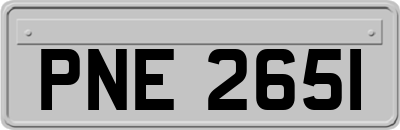 PNE2651