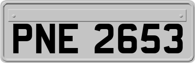 PNE2653