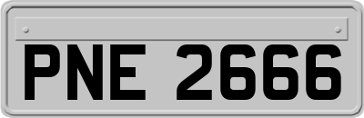 PNE2666