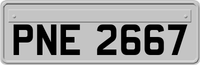 PNE2667