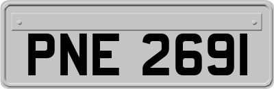 PNE2691