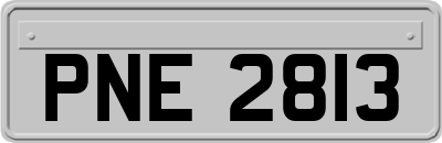 PNE2813