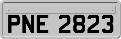 PNE2823