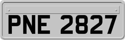PNE2827