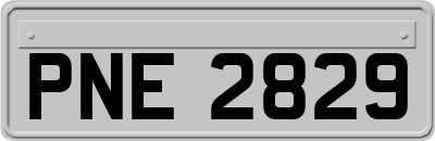 PNE2829