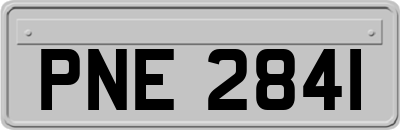 PNE2841