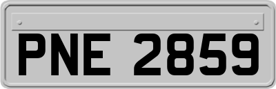 PNE2859