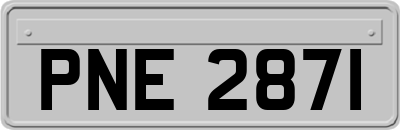 PNE2871