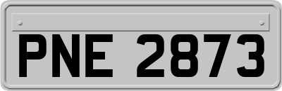 PNE2873