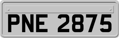 PNE2875