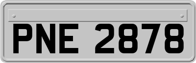 PNE2878