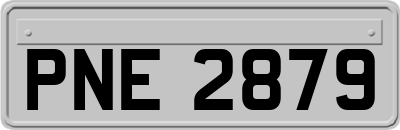 PNE2879