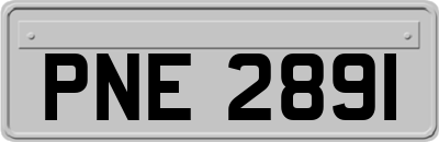 PNE2891