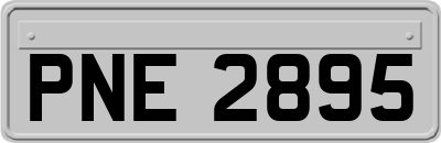 PNE2895