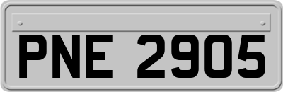 PNE2905