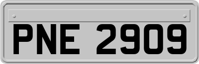 PNE2909