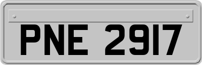 PNE2917