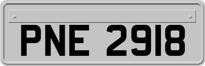 PNE2918