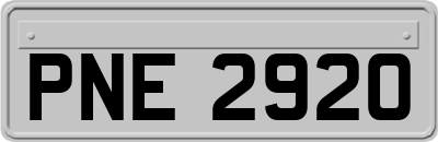 PNE2920