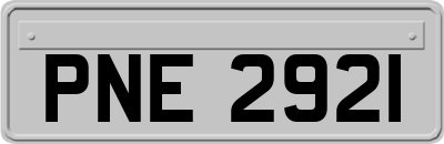PNE2921