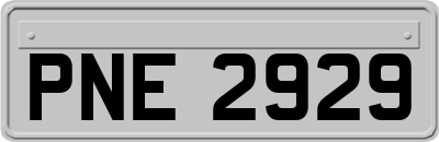 PNE2929