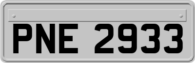 PNE2933