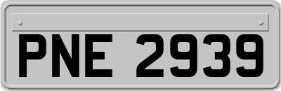 PNE2939