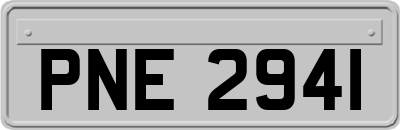 PNE2941