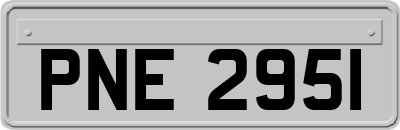 PNE2951