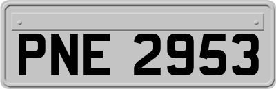 PNE2953